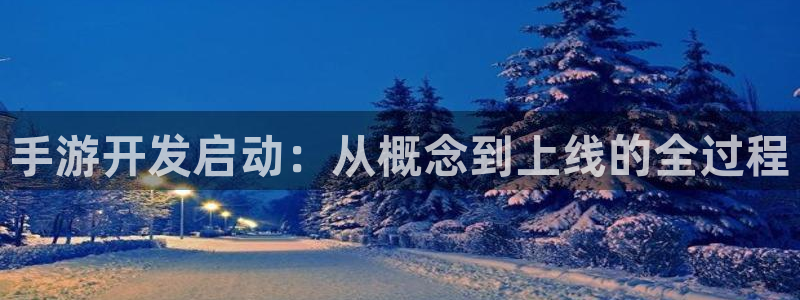 巅峰国际平台：手游开发启动：从概念到上线的全过程