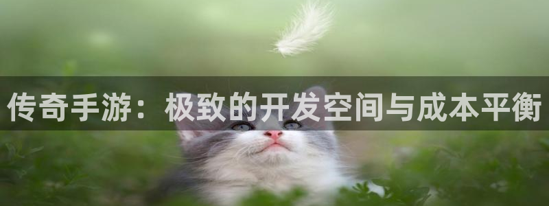 巅峰国际:传奇手游:极致的开发空间与成本平衡
