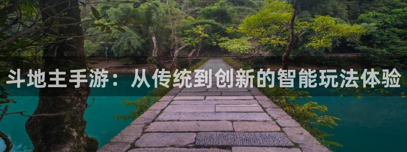 巅峰国际首页：斗地主手游：从传统到创新的智能玩法体验