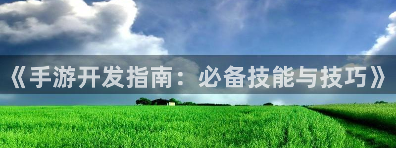 巅峰国际登录：《手游开发指南：必备技能与技巧》