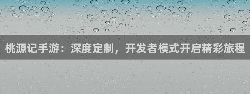 巅峰国际注册：桃源记手游：深度定制，开发者模式开启精彩旅程