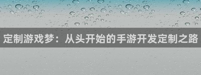 巅峰国际登录：定制游戏梦：从头开始的手游开发定制之路