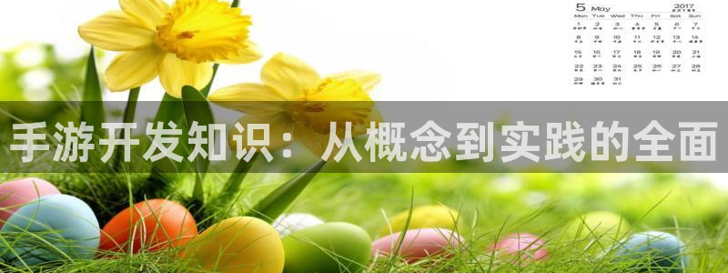 巅峰国际：手游开发知识：从概念到实践的全面