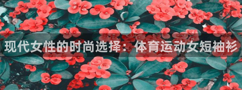3377体育在线