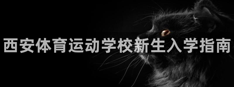 3377体育是正规平台吗：西安体育运动学校新生入学指南