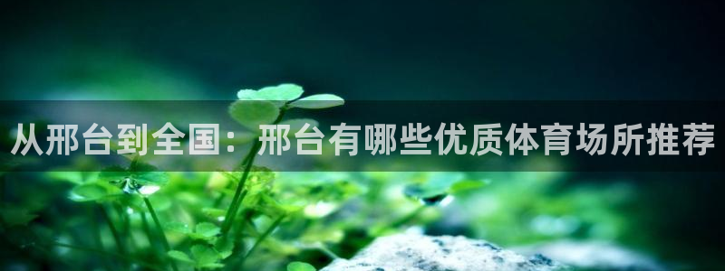 3377体育是正规的吗：从邢台到全国：邢台有哪些优质体育场所推荐