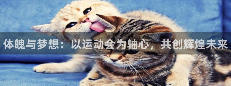 3377体育官方app下载：体魄与梦想：以运动会为轴心，共创辉煌未来