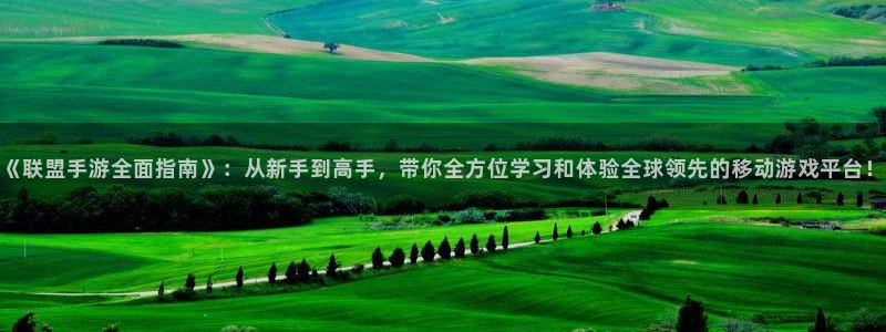 巅峰国际下载：《联盟手游全面指南》：从新手到高手，带你全方位