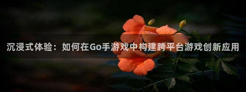 巅峰国际平台：沉浸式体验：如何在Go手游戏中构建跨平台游戏创